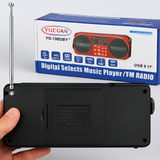 YUEGAN YG-1881BT Portable Digital Music Player With FM Radio, Bluetooth, USB & TF