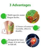 New Knee Plaster Sticker Wormwood Extract Knee Joint Ache Fast Pain Relieving Paster Knee Rheumatoid Arthritis Body Patches( 10 Patches)