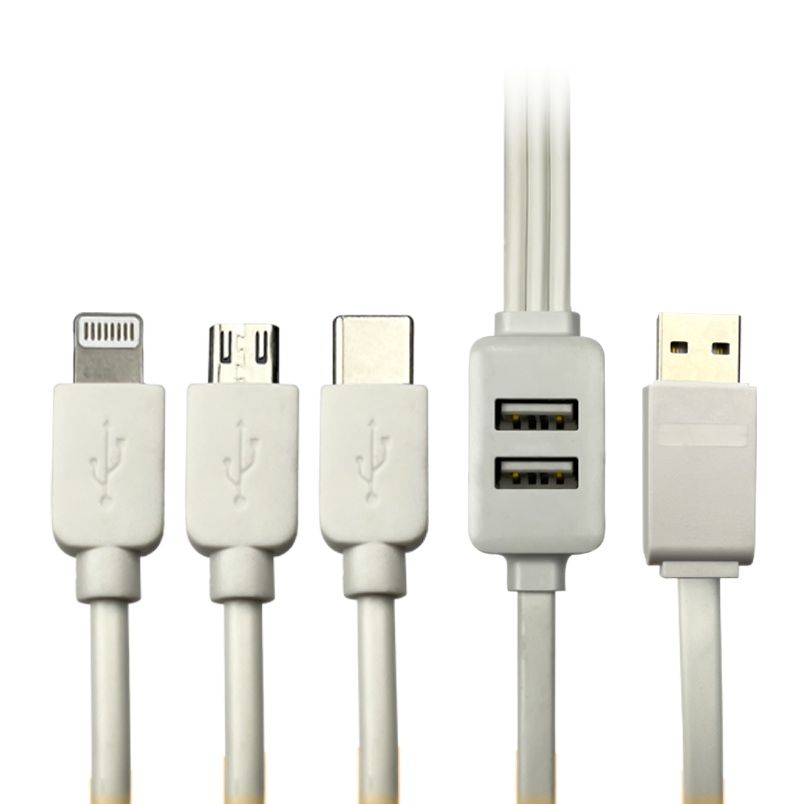 Vizo 5-In-1 Fast Data Cable Safety Fast Charging 5 In 1 USB Port 3 Plugs And 2 USB Ports Fast Data Cable