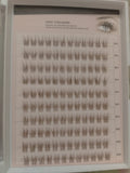 Pre-Glued Wispy Eyelash Clusters – DIY Eyelash Extension Box, Brown Fiber Lashes