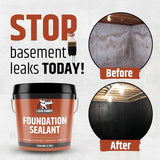 black hydra agent foundation sealant  – 300g