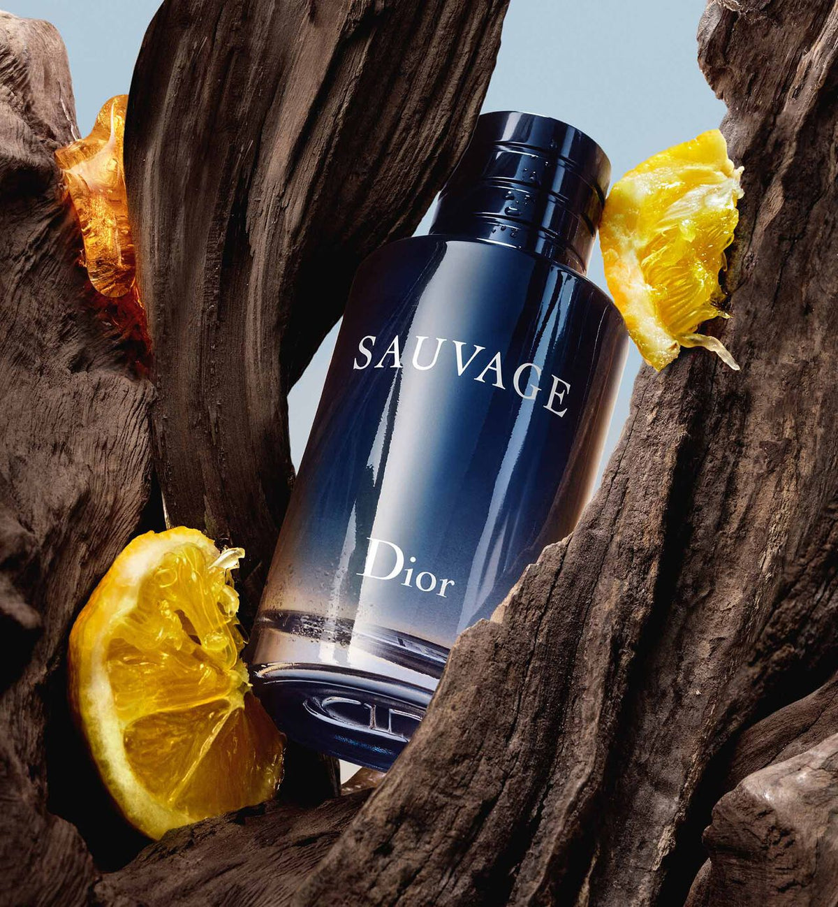 Dior Sauvage EDP 100 ml Sauvage Perfume Long-Lasting  Fragrance for Daily Wear and Special Occasions