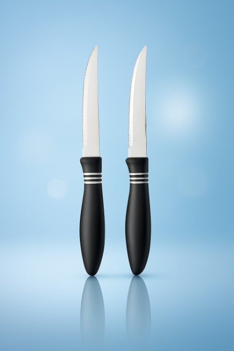 2 Pcs Concord Stainless Steel Kitchen Knife – Multipurpose Table Knife With Serrated Edge, 12 Cm (Random Color)