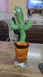 Dancing Cactus Talking Toy Tree Cactus Plush  toy With box
