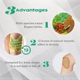 Pack Of 10 Knee Pain Relief Patch