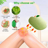 Pack Of 10 Knee Pain Relief Patch