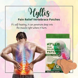 HYLLIS Pain Relief Patches - 10 Neck Pain Patches / Safe & Natural Neck & Back Pain Relief Products