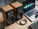 FT-2031 Subwoofer Pairs Speaker Premium Sound USB Powered For Laptop, Mobile & Computer - Set Of 2pc
